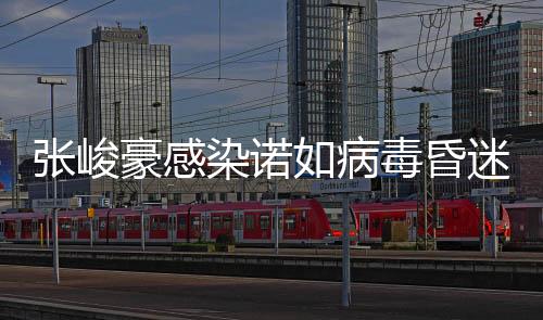 張峻豪感染諾如病毒昏迷事件紀(jì)實(shí)