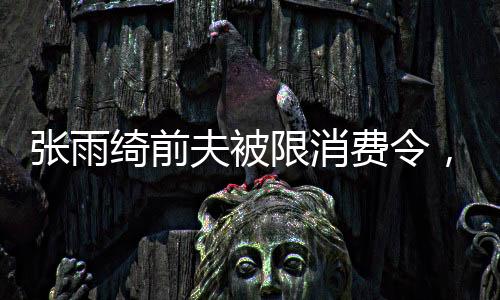 張雨綺前夫被限消費(fèi)令，引發(fā)社會關(guān)注