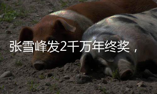 張雪峰發(fā)2千萬(wàn)年終獎(jiǎng)，互聯(lián)網(wǎng)行業(yè)的巨大紅利與員工激勵(lì)舉措