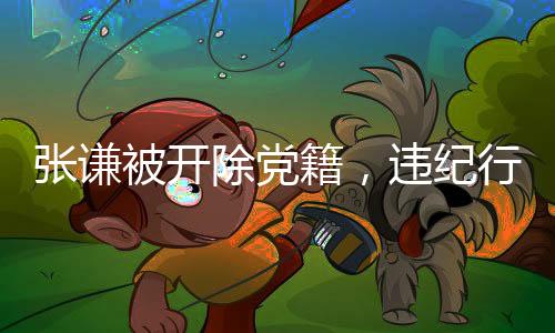 張謙被開除黨籍，違紀行為的嚴重后果與警示意義