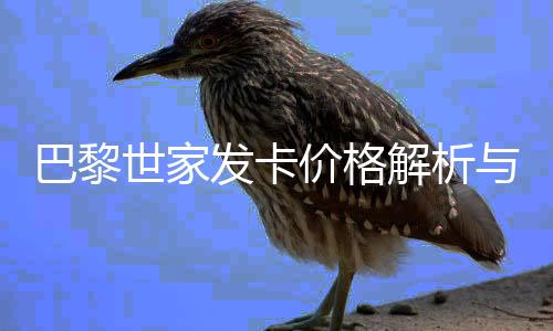 巴黎世家發(fā)卡價(jià)格解析與義烏市場價(jià)格調(diào)研