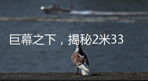 巨幕之下，揭秘2米33巨人演員的日?！?米床穿59碼鞋