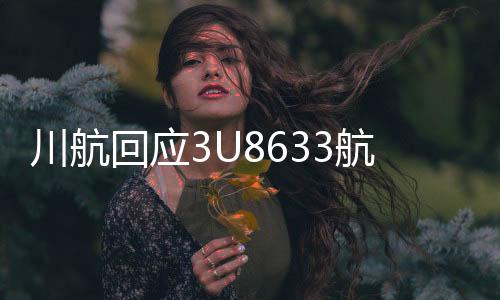 川航回應3U8633航班備降返航事件