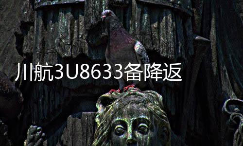 川航3U8633備降返航事件，一場(chǎng)驚心動(dòng)魄的航空奇跡