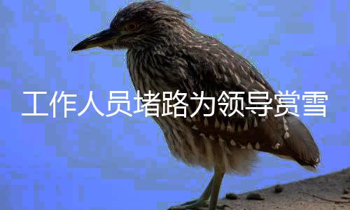 工作人員堵路為領(lǐng)導(dǎo)賞雪引發(fā)爭(zhēng)議，官方回應(yīng)