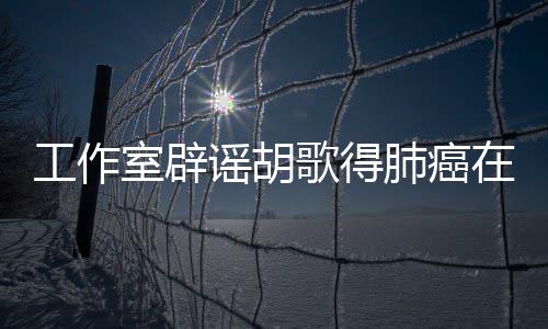 工作室辟謠胡歌得肺癌在北京住院，真相揭秘與公眾關(guān)切并重