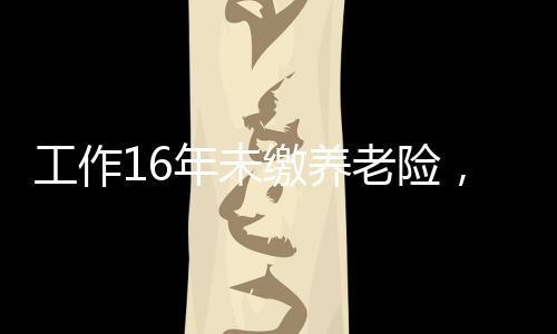 工作16年未繳養(yǎng)老險(xiǎn)，勞動者的權(quán)益與未來的保障