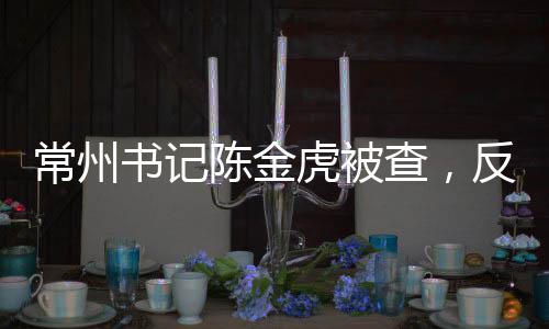 常州書記陳金虎被查，反腐無小事，公職人員需警醒