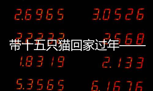 帶十五只貓回家過年——歸鄉(xiāng)旅途上的愛心使者故事