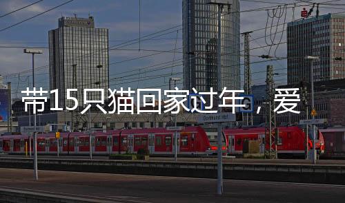 帶15只貓回家過(guò)年，愛(ài)心滿(mǎn)滿(mǎn)的溫暖旅程