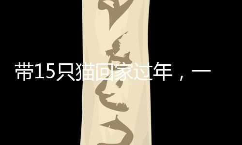 帶15只貓回家過年，一場溫馨的人貓共賀新春之旅