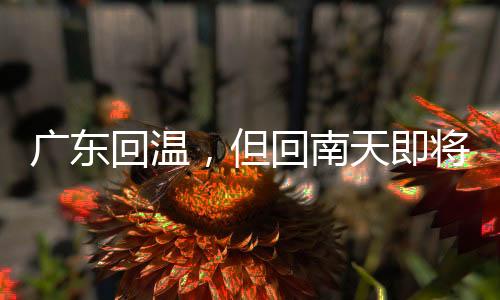 廣東回溫，但回南天即將來襲