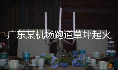 廣東某機(jī)場跑道草坪起火系謠言，真相揭秘與社會警示并重