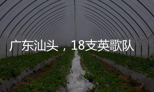 廣東汕頭，18支英歌隊同臺共舞迎新春，喜慶氛圍燃爆全場