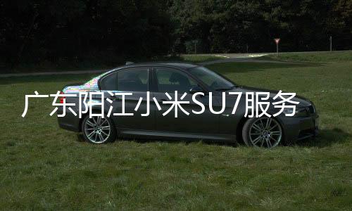 廣東陽江小米SU7服務區(qū)遭遇割胎事件揭秘