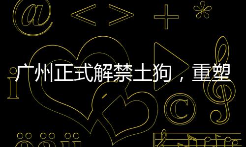 廣州正式解禁土狗，重塑城市與本土犬種和諧共生的新篇章