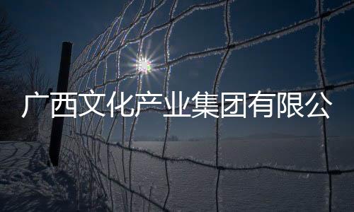 廣西文化產(chǎn)業(yè)集團有限公司黨委書記黃科宏接受審查調(diào)查