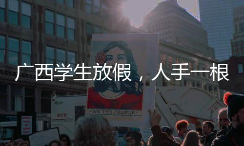 廣西學(xué)生放假，人手一根比人高的甘蔗，歡慶豐收季節(jié)