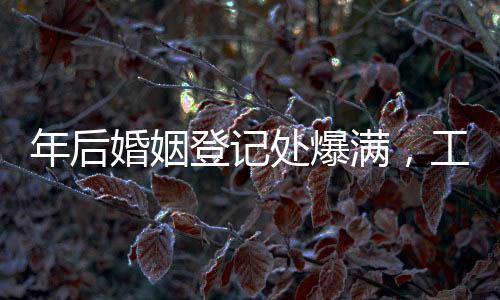 年后婚姻登記處爆滿，工作人員回應(yīng)揭示忙碌背后的原因