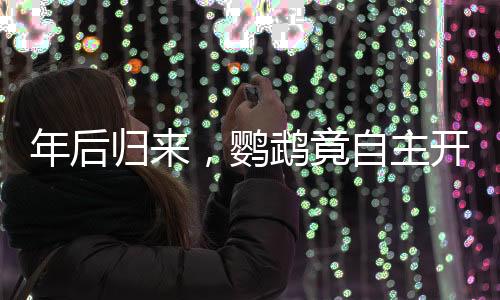 年后歸來，鸚鵡竟自主開籠拆家，主人驚嘆不已
