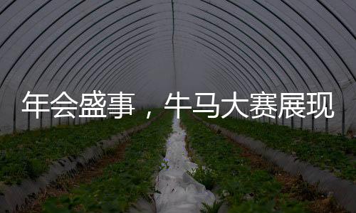 年會(huì)盛事，牛馬大賽展現(xiàn)獨(dú)特魅力，歡樂氛圍點(diǎn)燃全場熱情