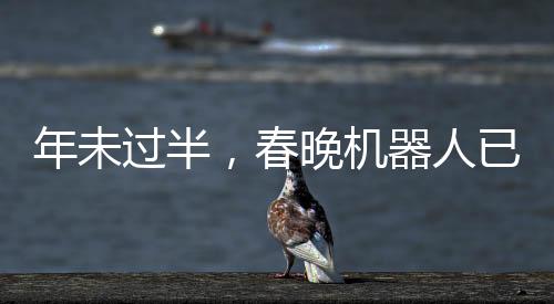 年未過半，春晚機(jī)器人已引熱潮，全民cos新潮涌