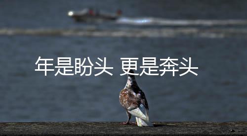 年是盼頭 更是奔頭