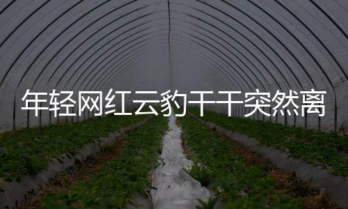 年輕網紅云豹干干突然離世，年輕生命的凋零引人深思