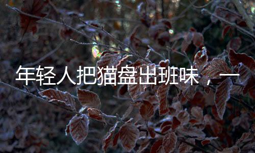 年輕人把貓盤出班味，一種新型文化現(xiàn)象的觀察與解讀