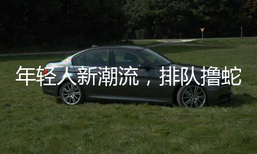 年輕人新潮流，排隊(duì)擼蛇現(xiàn)象揭秘