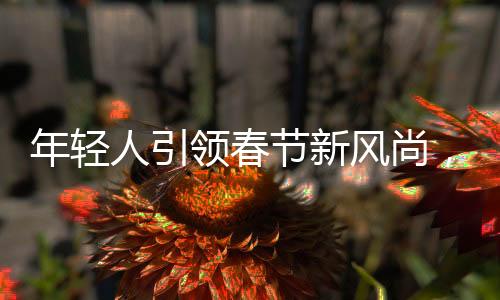 年輕人引領春節(jié)新風尚，整頓傳統(tǒng)，注入新活力