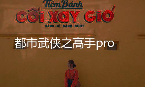 都市武俠之高手pro