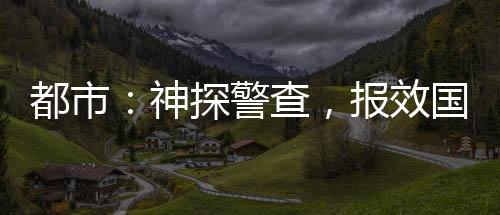 都市：神探警查，報效國家