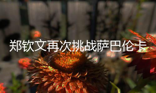 鄭欽文再次挑戰(zhàn)薩巴倫卡，勝算幾何？