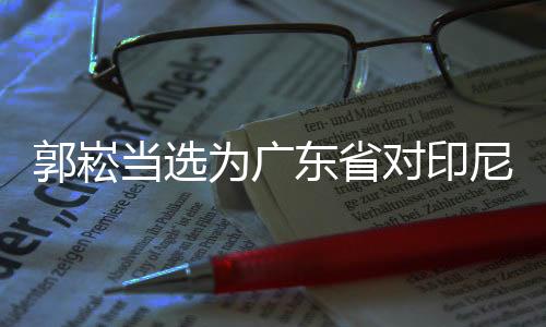 郭崧當(dāng)選為廣東省對(duì)印尼貿(mào)易促進(jìn)會(huì)第一屆理事會(huì)會(huì)長
