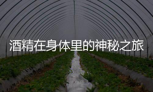 酒精在身體里的神秘之旅，揭開酒精的生理效應(yīng)