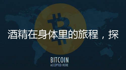 酒精在身體里的旅程，探究酒精對身體的影響