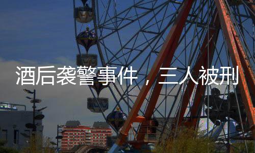 酒后襲警事件，三人被刑拘，警示社會(huì)必須尊重法律