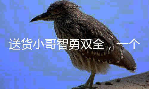 送貨小哥智勇雙全，一個(gè)月兩次識破現(xiàn)金騙局，贏得社會贊譽(yù)