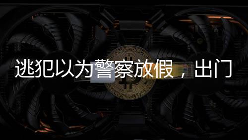 逃犯以為警察放假，出門買年貨被抓，警示廣大民眾切勿心存僥幸