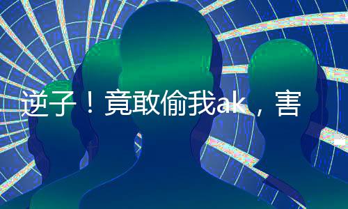 逆子！竟敢偷我ak，害老子曝光