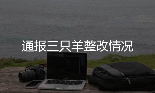 通報三只羊整改情況
