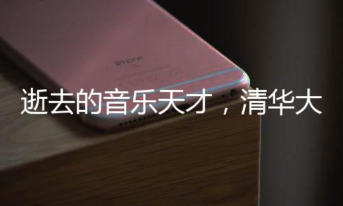 逝去的音樂天才，清華大學(xué)本科生詩琳的生平回顧