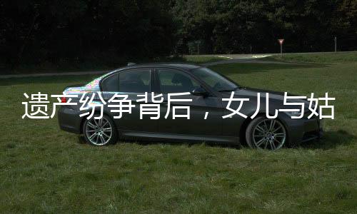遺產(chǎn)紛爭背后，女兒與姑姑們的遺產(chǎn)分配之路