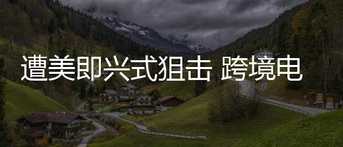 遭美即興式狙擊 跨境電商找到B計劃