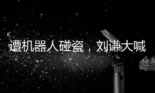 遭機(jī)器人碰瓷，劉謙大喊不是我干的
