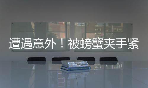 遭遇意外！被螃蟹夾手緊急求助，消防部門迅速響應