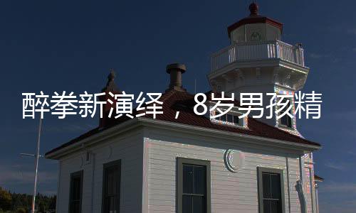 醉拳新演繹，8歲男孩精彩拜年