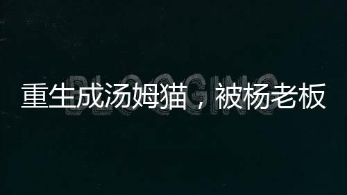 重生成湯姆貓，被楊老板直播曝光