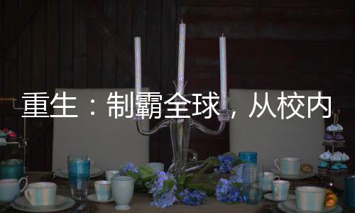 重生：制霸全球，從校內(nèi)網(wǎng)開始